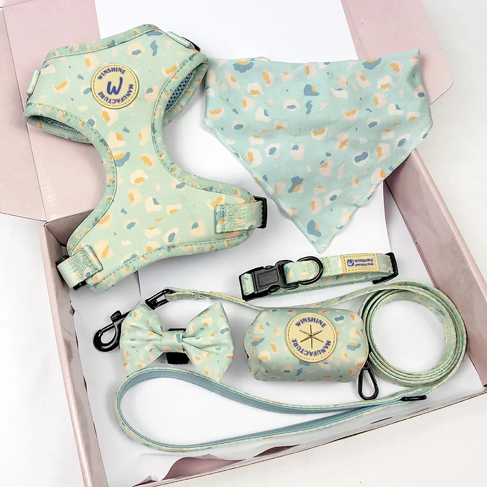 Custom Colorful Puppy Dog Harness 6PCS Set Pet Accessories