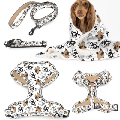 Пользовательские красочные шлейки для щенков, 6 шт., набор аксессуаров для домашних животных