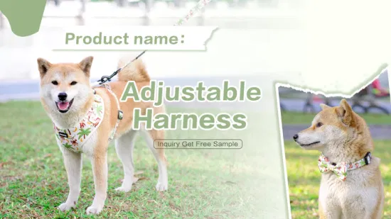 Hanyang Бесплатный образец Индивидуальный дизайн Шлейки для домашних животных Жилет для собак Шлейка для собак и поводок Роскошные дизайнерские шлейки для собак на заказ