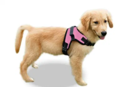 Мягкая и нежная дышащая сетчатая шлейка для собак, жилет для щенков Xs, маленьких, средних и крупных собак